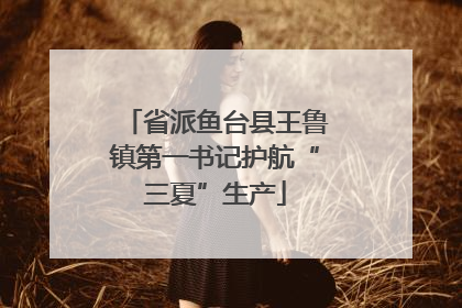 省派鱼台县王鲁镇第一书记护航“三夏”生产