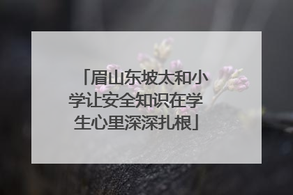 眉山东坡太和小学让安全知识在学生心里深深扎根