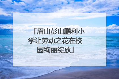 眉山彭山鹏利小学让劳动之花在校园绚丽绽放