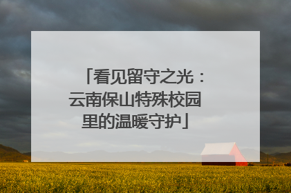 看见留守之光：云南保山特殊校园里的温暖守护