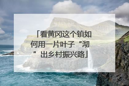 看黄冈这个镇如何用一片叶子“沏”出乡村振兴路