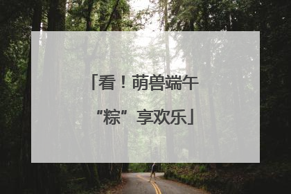 看！萌兽端午“粽”享欢乐