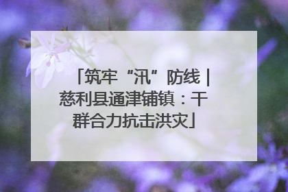 筑牢“汛”防线｜慈利县通津铺镇：干群合力抗击洪灾