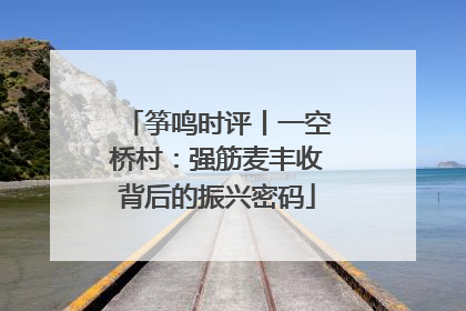 筝鸣时评丨一空桥村：强筋麦丰收背后的振兴密码