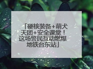 硬核装备+萌犬天团+安全课堂！这场警民互动燃爆地铁台东站