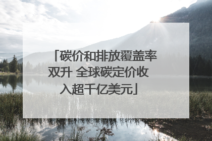 碳价和排放覆盖率双升 全球碳定价收入超千亿美元