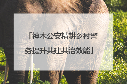神木公安精耕乡村警务提升共建共治效能