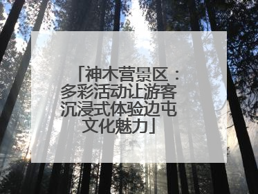 神木营景区：多彩活动让游客沉浸式体验边屯文化魅力