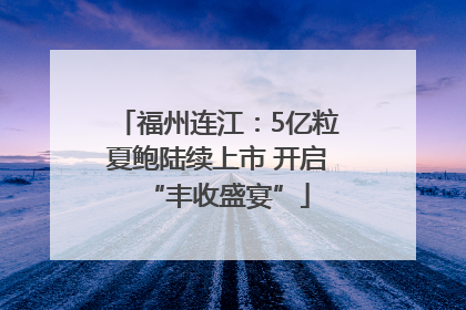 福州连江：5亿粒夏鲍陆续上市 开启“丰收盛宴”