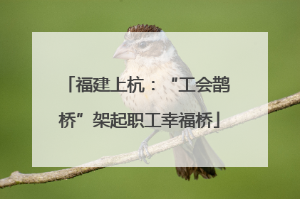 福建上杭：“工会鹊桥”架起职工幸福桥