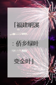 福建明溪：侨乡绿叶变金叶