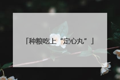 种粮吃上“定心丸”