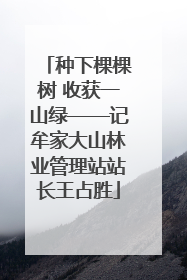 种下棵棵树 收获一山绿——记牟家大山林业管理站站长王占胜