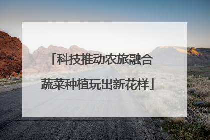 科技推动农旅融合 蔬菜种植玩出新花样