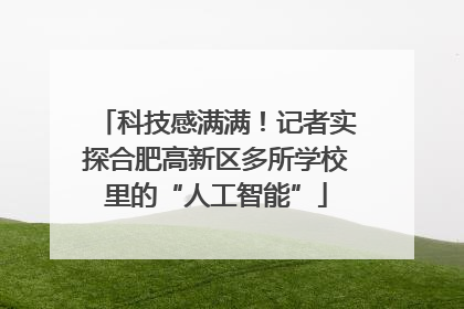 科技感满满！记者实探合肥高新区多所学校里的“人工智能”