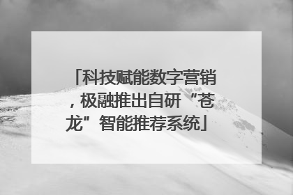 科技赋能数字营销，极融推出自研“苍龙”智能推荐系统
