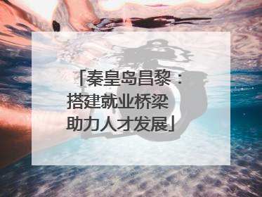 秦皇岛昌黎：搭建就业桥梁 助力人才发展