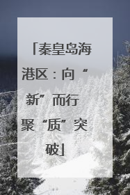秦皇岛海港区：向“新”而行 聚“质”突破