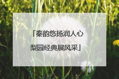 秦韵悠扬润人心 梨园经典展风采