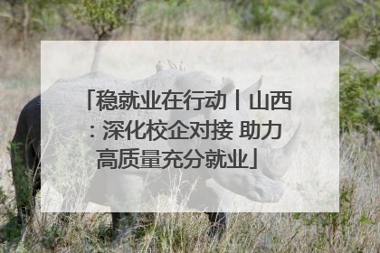 稳就业在行动丨山西：深化校企对接 助力高质量充分就业