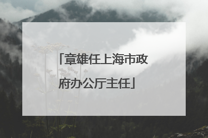 章雄任上海市政府办公厅主任