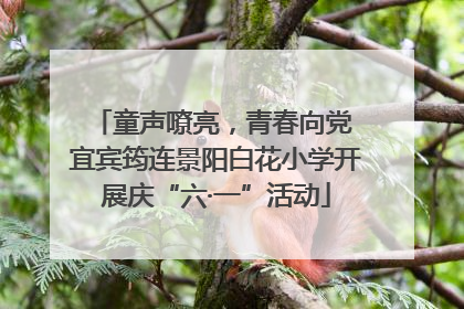 童声嘹亮，青春向党 宜宾筠连景阳白花小学开展庆“六·一”活动