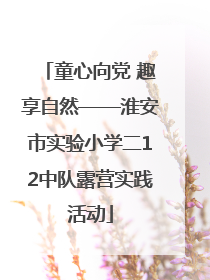 童心向党 趣享自然——淮安市实验小学二12中队露营实践活动