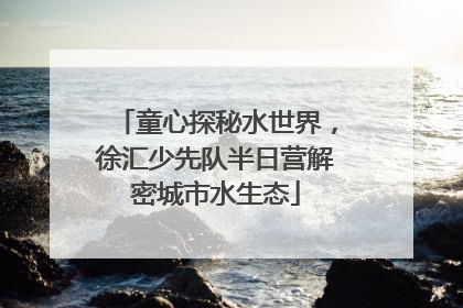 童心探秘水世界，徐汇少先队半日营解密城市水生态