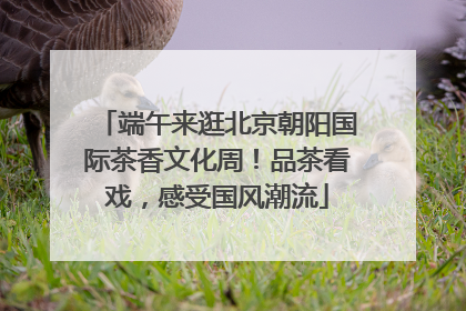 端午来逛北京朝阳国际茶香文化周！品茶看戏，感受国风潮流