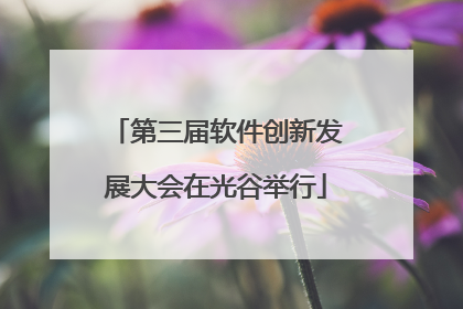 第三届软件创新发展大会在光谷举行