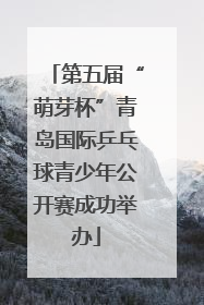 第五届“萌芽杯”青岛国际乒乓球青少年公开赛成功举办
