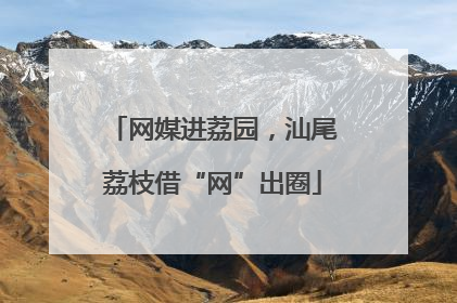 网媒进荔园，汕尾荔枝借“网”出圈