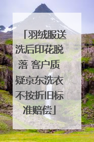 羽绒服送洗后印花脱落 客户质疑京东洗衣不按折旧标准赔偿