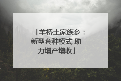 羊桥土家族乡：新型套种模式 助力增产增收