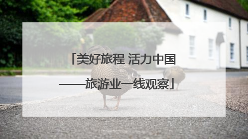 美好旅程 活力中国——旅游业一线观察