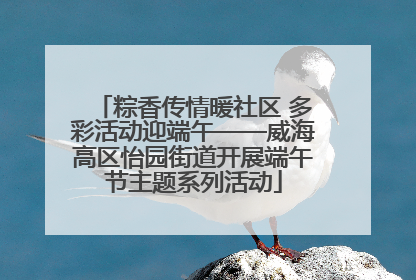 粽香传情暖社区 多彩活动迎端午——威海高区怡园街道开展端午节主题系列活动