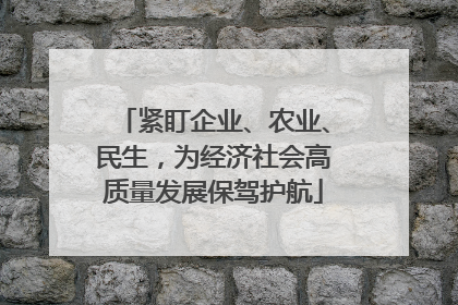 紧盯企业、农业、民生，为经济社会高质量发展保驾护航
