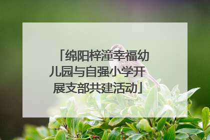 绵阳梓潼幸福幼儿园与自强小学开展支部共建活动