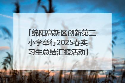 绵阳高新区创新第三小学举行2025春实习生总结汇报活动