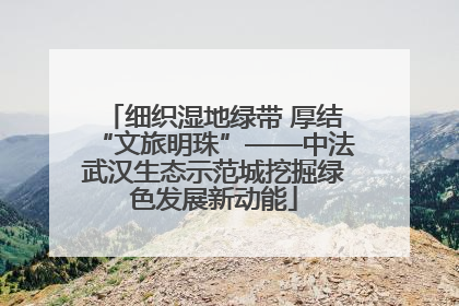 细织湿地绿带 厚结“文旅明珠”——中法武汉生态示范城挖掘绿色发展新动能