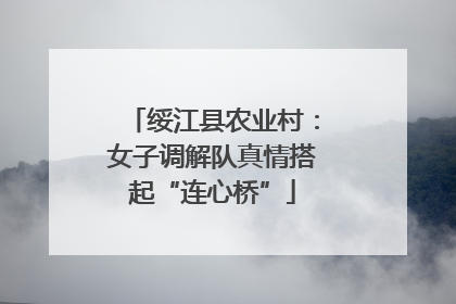 绥江县农业村：女子调解队真情搭起“连心桥”