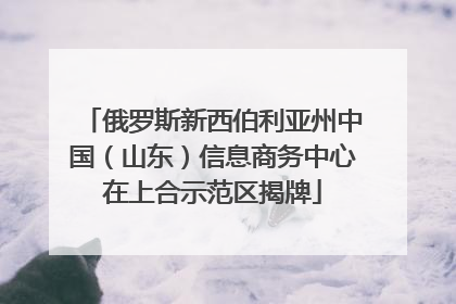 俄罗斯新西伯利亚州中国（山东）信息商务中心在上合示范区揭牌