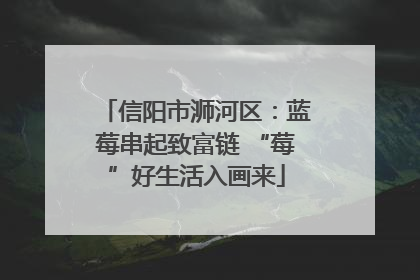信阳市浉河区：蓝莓串起致富链 “莓”好生活入画来