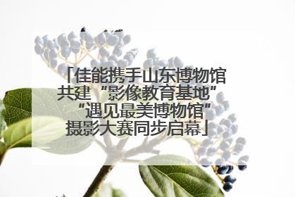 佳能携手山东博物馆共建“影像教育基地” “遇见最美博物馆”摄影大赛同步启幕
