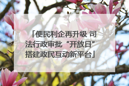 便民利企再升级 司法行政审批“开放日”搭建政民互动新平台