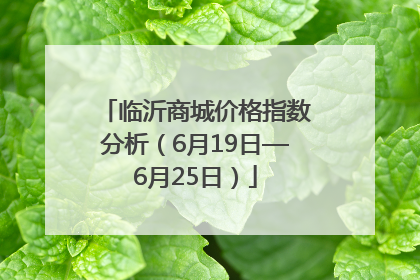 临沂商城价格指数分析（6月19日—6月25日）