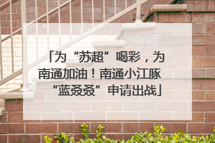 为“苏超”喝彩，为南通加油！南通小江豚“蓝叒叒”申请出战