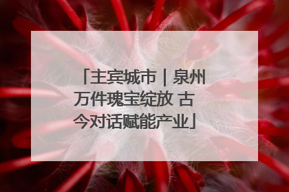 主宾城市｜泉州万件瑰宝绽放 古今对话赋能产业