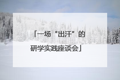 一场“出汗”的研学实践座谈会