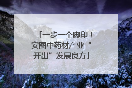 一步一个脚印！安图中药材产业“开出”发展良方